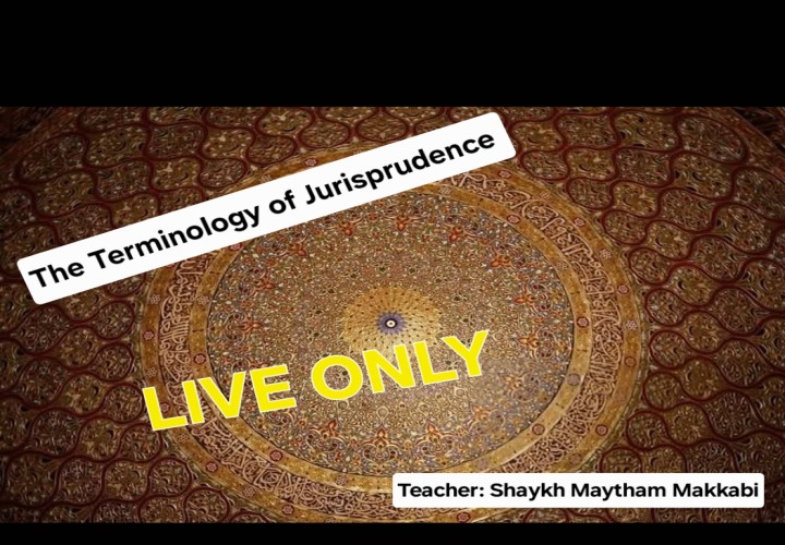 The Terminology of Jurisprudence